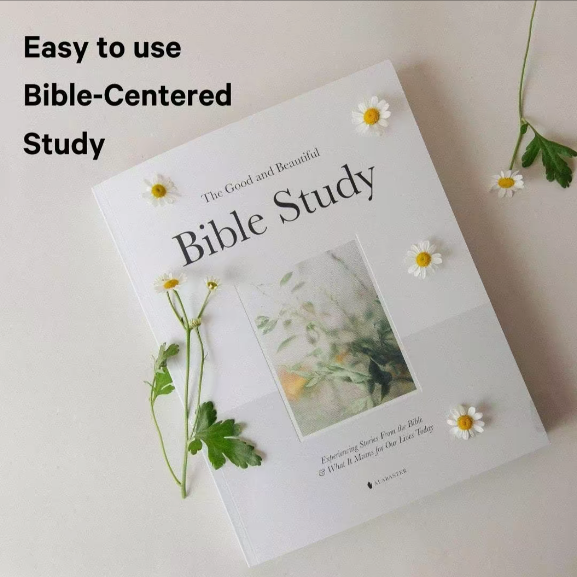 The Good and Beautiful Bible Study